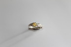fugaz ring