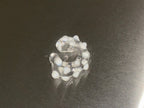 hedgehog boro earcuff