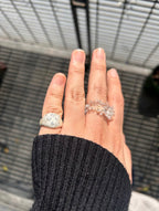 Clear Hedgehog fish Ring